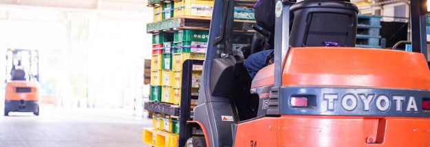 تويوتا رافعة شوكية مدونة العجاف